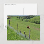Geboste vallei, Auvergne Briefkaart (Voorkant / Achterkant)