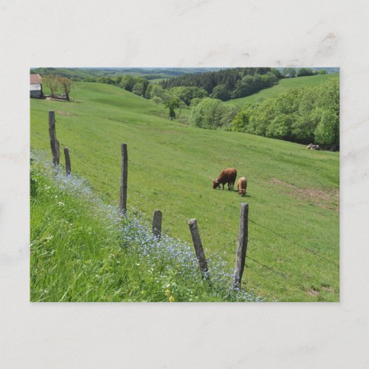 Geboste vallei, Auvergne Briefkaart (Voorkant)