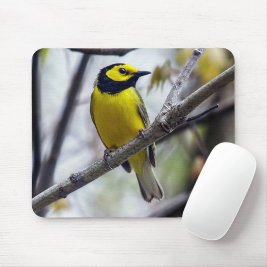 Geboste Warbler Mousepad Muismat (Met muis)