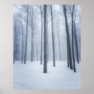 Geboste winterbos poster