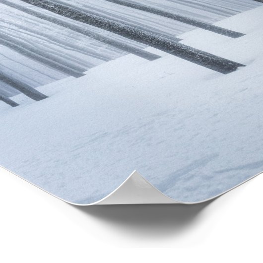 Geboste winterbos poster (Hoek)