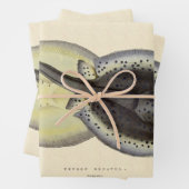  gebottelde Stingrays, zeedieren Inpakpapier Vel (In situ)