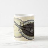  gebottelde Stingrays, zeedieren Koffiemok (Center)