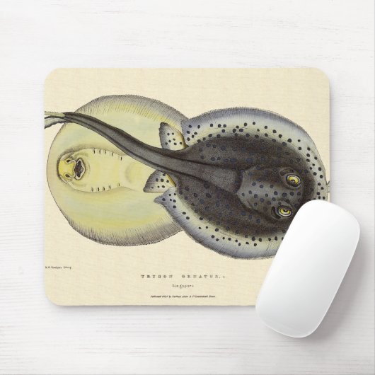  gebottelde Stingrays, zeedieren Muismat (Met muis)