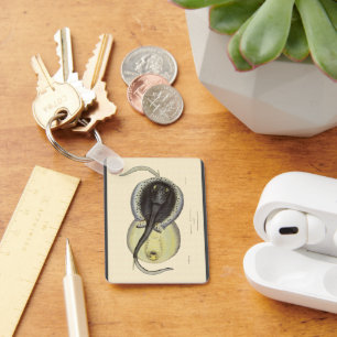  gebottelde Stingrays, zeedieren Sleutelhanger