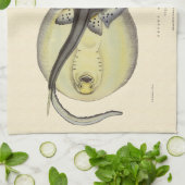  gebottelde Stingrays, zeedieren Theedoek (Gevouwen)
