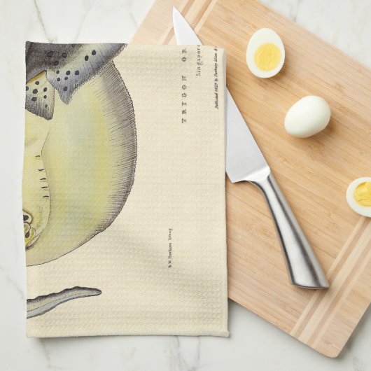 gebottelde Stingrays, zeedieren Theedoek (Quarter Fold)