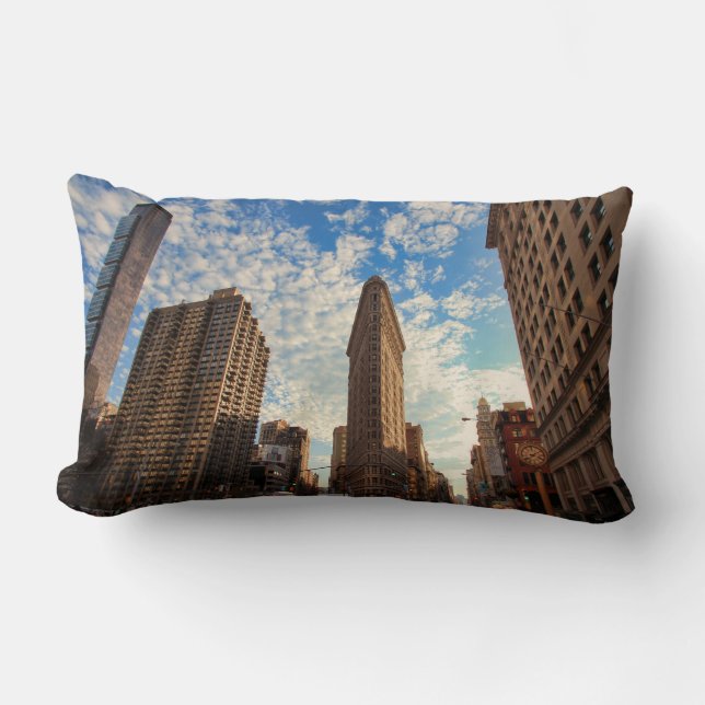 Gebouw Flatiron in NYC, brede weergave, pluizige w Kussen (Voorkant)