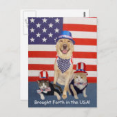 Gebouwd in de VS! Briefkaart (Voorkant / Achterkant)