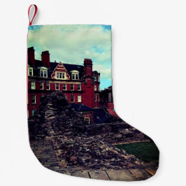 Gebouwen van Newcastle Kleine Kerstsok