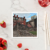 Gebouwen van Newcastle Servet (Insitu)