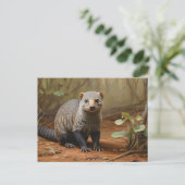 Gebrandmerkt Mongoose in bosgebied Briefkaart (Staand voorkant)