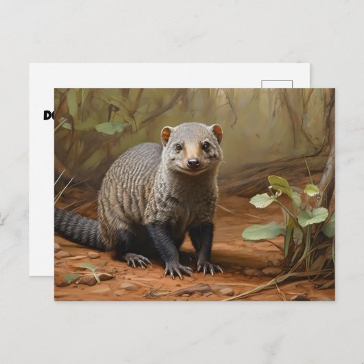 Gebrandmerkt Mongoose in bosgebied Briefkaart (Voorkant / Achterkant)