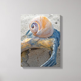 Gebrekkige schoonheden canvas afdruk