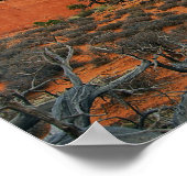 Gebroken Boog, Arches National Park Poster (Hoek)