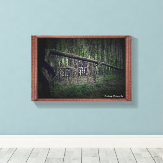Gebroken boom (Bigfoot) Canvas Afdruk (Insitu (Houten vloer))