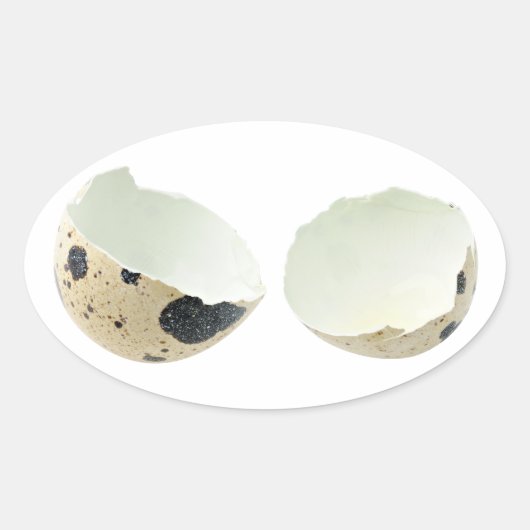 Gebroken eierschaal ovale sticker (Voorkant)