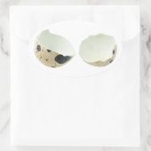 Gebroken eierschaal ovale sticker (Tas)