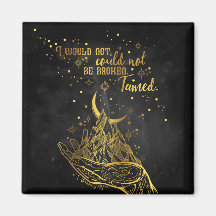 Gebroken, getemde magneet