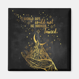 Gebroken, getemde magneet