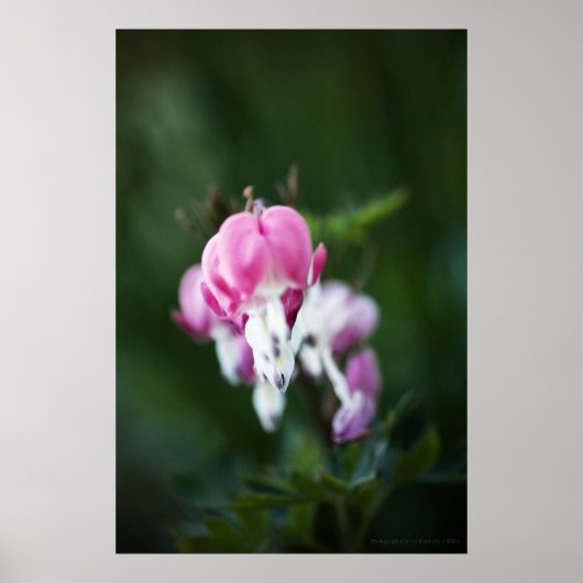 Gebroken hartlijn omhoog Afdrukken Poster (Voorkant)