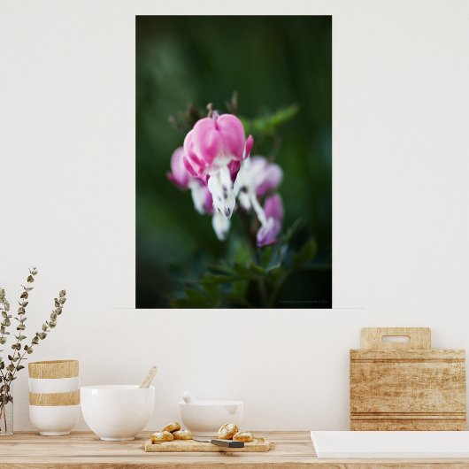 Gebroken hartlijn omhoog Afdrukken Poster (Keuken)