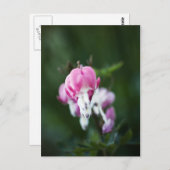 Gebroken hartlijn omhoog Briefkaart (Voorkant / Achterkant)