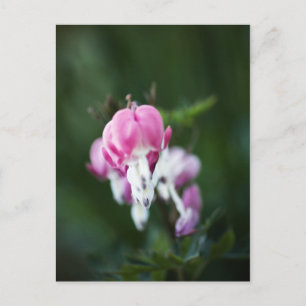 Gebroken hartlijn omhoog Briefkaart