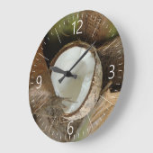 Gebroken kokosnoot grote klok (Hoek)