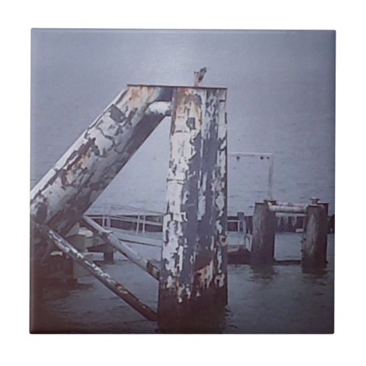 Gebroken pier met blauwe reiger tegeltje (Voorkant)