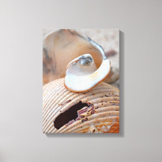 Gebroken schoonheden canvas afdruk (Voorkant)