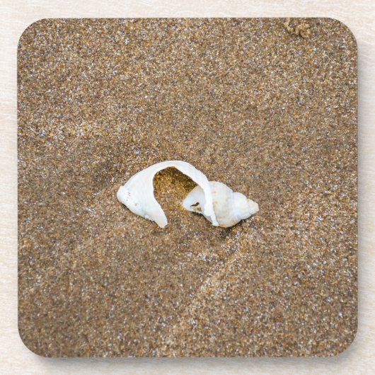 Gebroken shell harde plastic onderzetters (Voorkant)