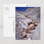 Gebroken stammen, Petrified Forest National Park,  Briefkaart (Voorkant / Achterkant)