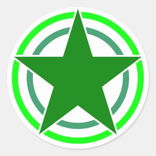 Gebroken Twee Cirkel Star 15 Ronde Sticker (Voorkant)