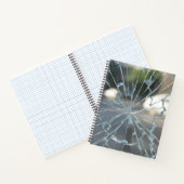 gebroken venster notitieboek (Binnen)