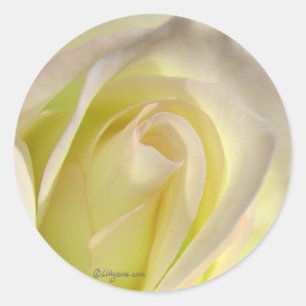 Gebroken wit Rozen Sticker envelop sluiting