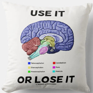 Gebruik het of verlies het advies voor anatomisch kussen