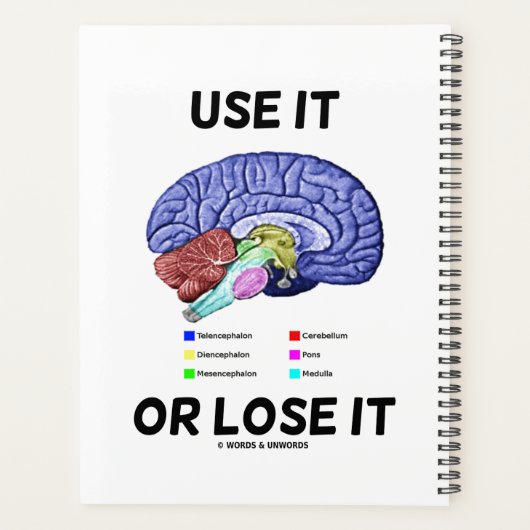 Gebruik het of verlies het advies voor anatomisch planner (Achterkant)