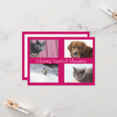 Gebruik Je Eigen Foto's Kaart (Voorkant / Achterkant in situ)