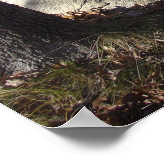 Gebruik je hoofd Babson Boulder Poster (Hoek)