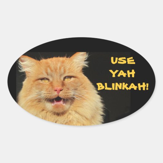 Gebruik Yah Blinkah zegt Boston Kittah Ovale Sticker (Voorkant)