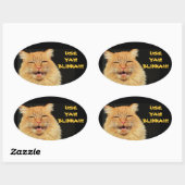 Gebruik Yah Blinkah zegt Boston Kittah Ovale Sticker (Vel)
