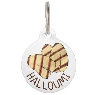 Gebruikte Fried Halloumi Cypriot Haloumi Kaas Eten Huisdierpenning