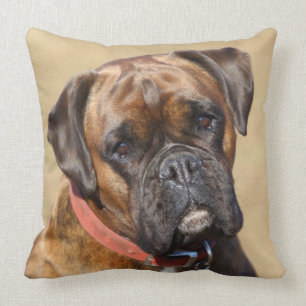 Gebruinde Boxer Hond Kussen