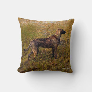 Gebruinde Plott Hound in moeras Worp Kussen