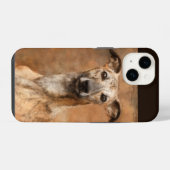 Gebruinde Whippet-hond iPhone Hoesje (Achterkant horizontaal)