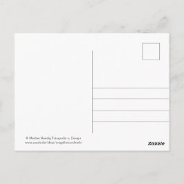 Geburtstags Schneckenpost Briefkaart