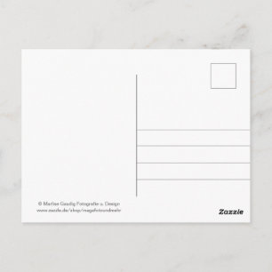 Geburtstags Schneckenpost Briefkaart