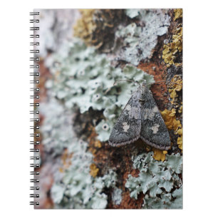 gecamoufleerd Lichen Moth-Notitieboek Notitieboek