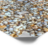 Gecamoufleerde spookkrab op een Kauai-strand, Hawa Poster (Hoek)